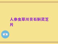 人参虫草川贝石斛灵芝片