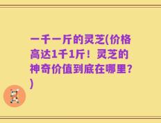一千一斤的灵芝(价格高达1千1斤！灵芝的神奇价值到底在哪里？)