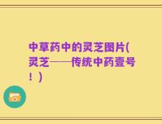 中草药中的灵芝图片(灵芝──传统中药壹号！)