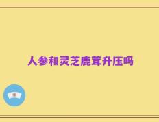 人参和灵芝鹿茸升压吗
