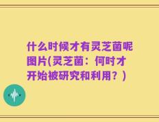 什么时候才有灵芝菌呢图片(灵芝菌：何时才开始被研究和利用？)