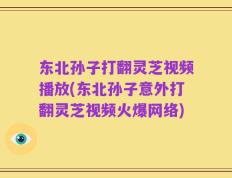 东北孙子打翻灵芝视频播放(东北孙子意外打翻灵芝视频火爆网络)
