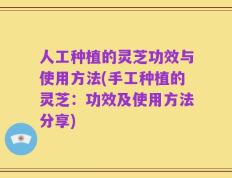 人工种植的灵芝功效与使用方法(手工种植的灵芝：功效及使用方法分享)