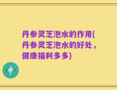 丹参灵芝泡水的作用(丹参灵芝泡水的好处，健康福利多多)
