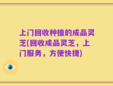 上门回收种植的成品灵芝(回收成品灵芝，上门服务，方便快捷)
