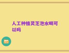 人工种植灵芝泡水喝可以吗