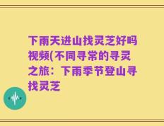 下雨天进山找灵芝好吗视频(不同寻常的寻灵之旅：下雨季节登山寻找灵芝