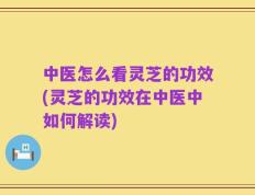 中医怎么看灵芝的功效(灵芝的功效在中医中如何解读)