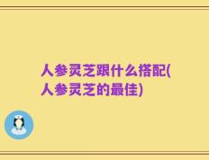 人参灵芝跟什么搭配(人参灵芝的最佳)