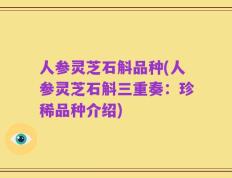 人参灵芝石斛品种(人参灵芝石斛三重奏：珍稀品种介绍)