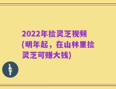 2022年捡灵芝视频(明年起，在山林里捡灵芝可赚大钱)