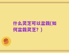 什么灵芝可以盆栽(如何盆栽灵芝？)