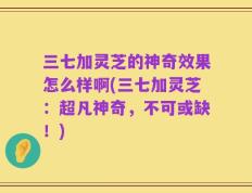 三七加灵芝的神奇效果怎么样啊(三七加灵芝：超凡神奇，不可或缺！)