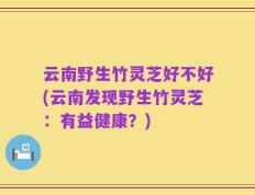 云南野生竹灵芝好不好(云南发现野生竹灵芝：有益健康？)
