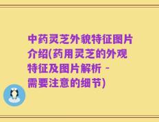 中药灵芝外貌特征图片介绍(药用灵芝的外观特征及图片解析 - 需要注意的细节)