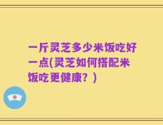 一斤灵芝多少米饭吃好一点(灵芝如何搭配米饭吃更健康？)