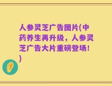 人参灵芝广告图片(中药养生再升级，人参灵芝广告大片重磅登场！)