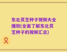 东北灵芝种子视频大全播放(全面了解东北灵芝种子的视频汇总)