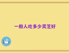一般人吃多少灵芝好