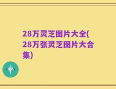 28万灵芝图片大全(28万张灵芝图片大合集)