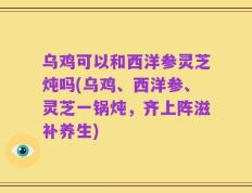 乌鸡可以和西洋参灵芝炖吗(乌鸡、西洋参、灵芝一锅炖，齐上阵滋补养生)
