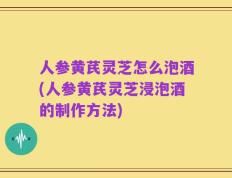 人参黄芪灵芝怎么泡酒(人参黄芪灵芝浸泡酒的制作方法)