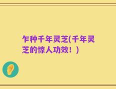 乍种千年灵芝(千年灵芝的惊人功效！)