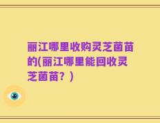 丽江哪里收购灵芝菌苗的(丽江哪里能回收灵芝菌苗？)
