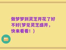 做梦梦到灵芝开花了好不好(梦见灵芝盛开，快来看看！)