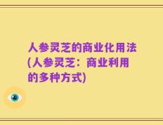 人参灵芝的商业化用法(人参灵芝：商业利用的多种方式)