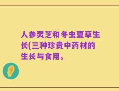 人参灵芝和冬虫夏草生长(三种珍贵中药材的生长与食用。