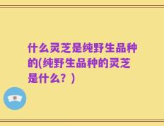 什么灵芝是纯野生品种的(纯野生品种的灵芝是什么？)