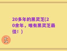 20多年的黑灵芝(20余年，唯有黑灵芝最佳！)
