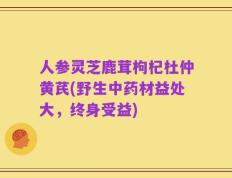 人参灵芝鹿茸枸杞杜仲黄芪(野生中药材益处大，终身受益)