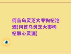 何首乌灵芝大枣枸杞泡酒(何首乌灵芝大枣枸杞酿心灵酒)