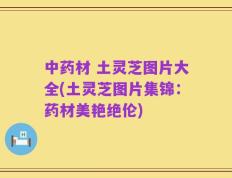 中药材 土灵芝图片大全(土灵芝图片集锦：药材美艳绝伦)