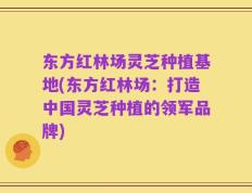 东方红林场灵芝种植基地(东方红林场：打造中国灵芝种植的领军品牌)