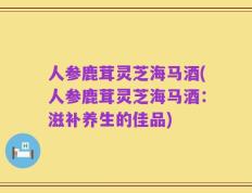 人参鹿茸灵芝海马酒(人参鹿茸灵芝海马酒：滋补养生的佳品)