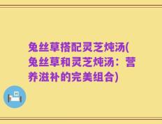 兔丝草搭配灵芝炖汤(兔丝草和灵芝炖汤：营养滋补的完美组合)