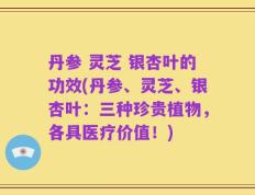 丹参 灵芝 银杏叶的功效(丹参、灵芝、银杏叶：三种珍贵植物，各具医疗价值！)