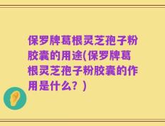 保罗牌葛根灵芝孢子粉胶囊的用途(保罗牌葛根灵芝孢子粉胶囊的作用是什么？)