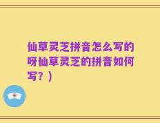仙草灵芝拼音怎么写的呀仙草灵芝的拼音如何写？)