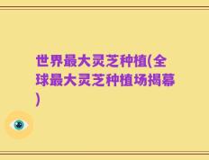 世界最大灵芝种植(全球最大灵芝种植场揭幕)
