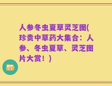 人参冬虫夏草灵芝图(珍贵中草药大集合：人参、冬虫夏草、灵芝图片大赏！)