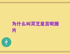 为什么叫灵芝皇宫呢图片