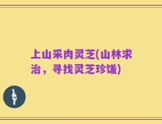 上山采肉灵芝(山林求治，寻找灵芝珍馐)