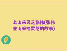 上山采灵芝张伟(张伟登山采摘灵芝的故事)