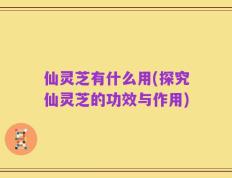 仙灵芝有什么用(探究仙灵芝的功效与作用)