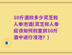 10斤酒放多少灵芝和人参泡酒(灵芝和人参应该如何放置到10斤酒中进行浸泡？)