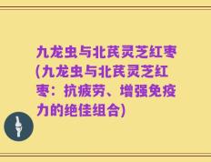 九龙虫与北芪灵芝红枣(九龙虫与北芪灵芝红枣：抗疲劳、增强免疫力的绝佳组合)